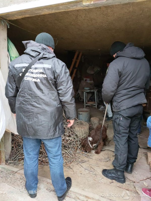 Жители Одесской области хранили в сараях наркотики и оружие (фото)
