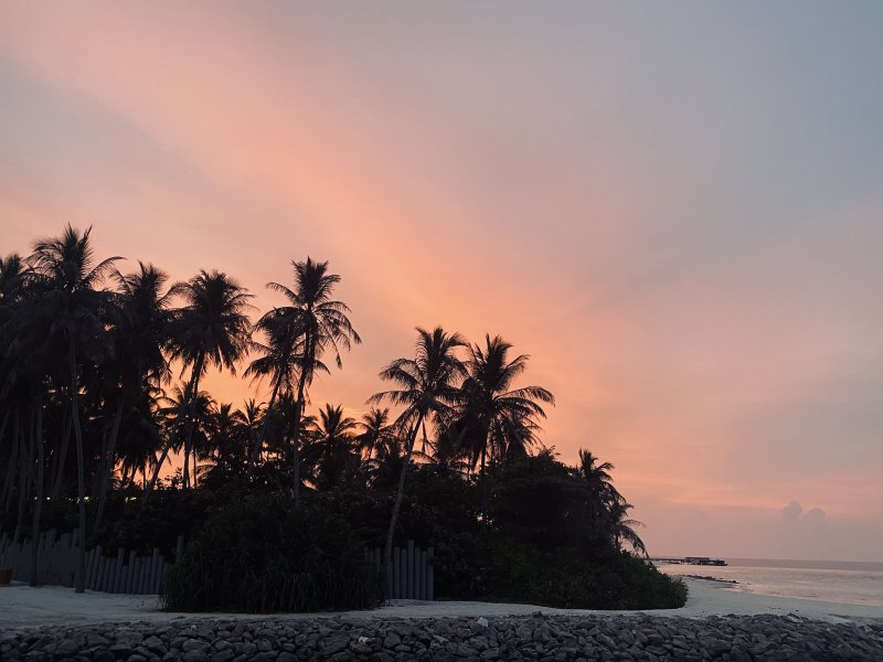 Мальдивы: кораллы, акулы и звезды на песке