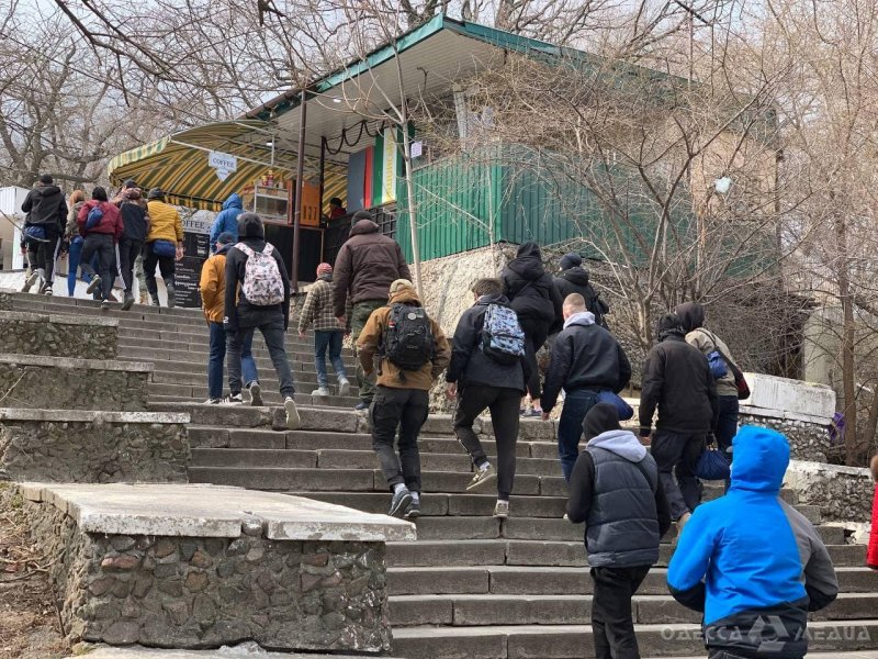 Возле дельфинария «Немо» снова митинговали: из-за дельфинов и сов (фото)