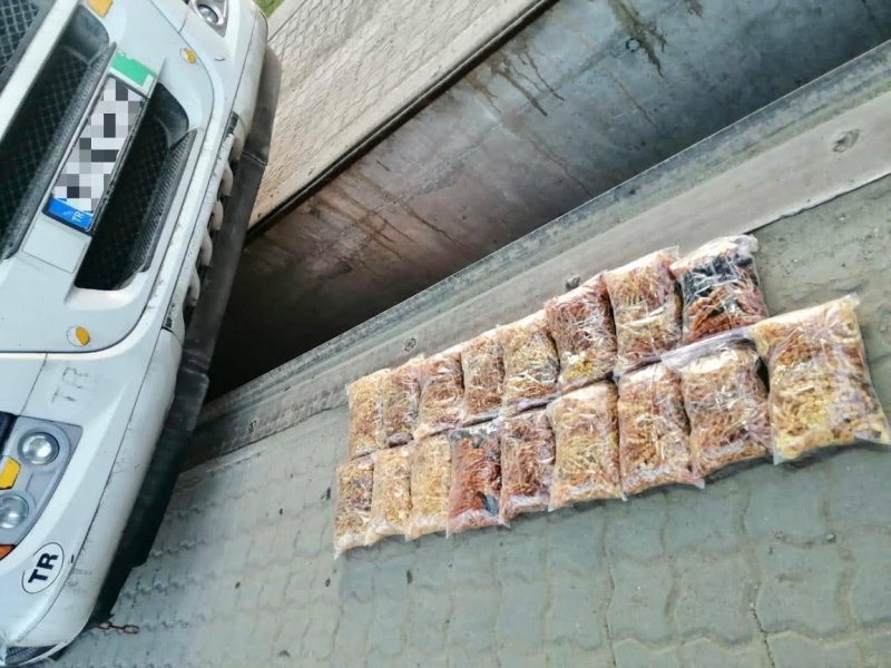 Одесские пограничники обнаружили 9 кг янтаря в тайниках турецкого грузовика