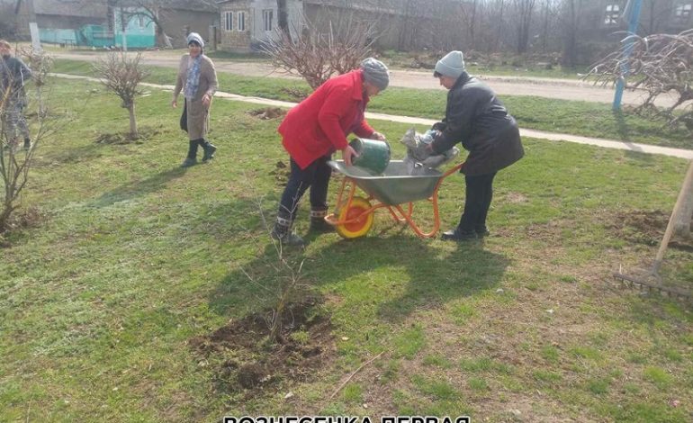 Павловская громада активно убирает ливнёвки, кладбища и стихийные свалки (фото)
