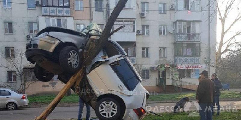 В Одессе автомобиль залетел на дерево (фото)