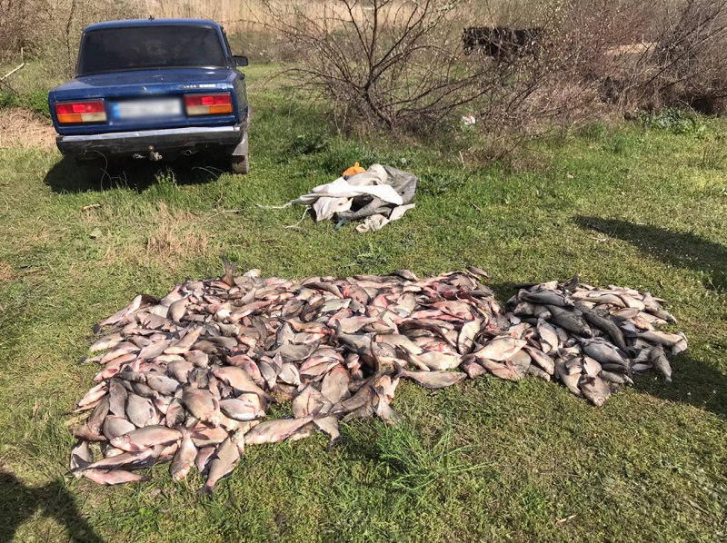 На озере Кагул браконьеры наловили лещей на 100 тысяч (фото)
