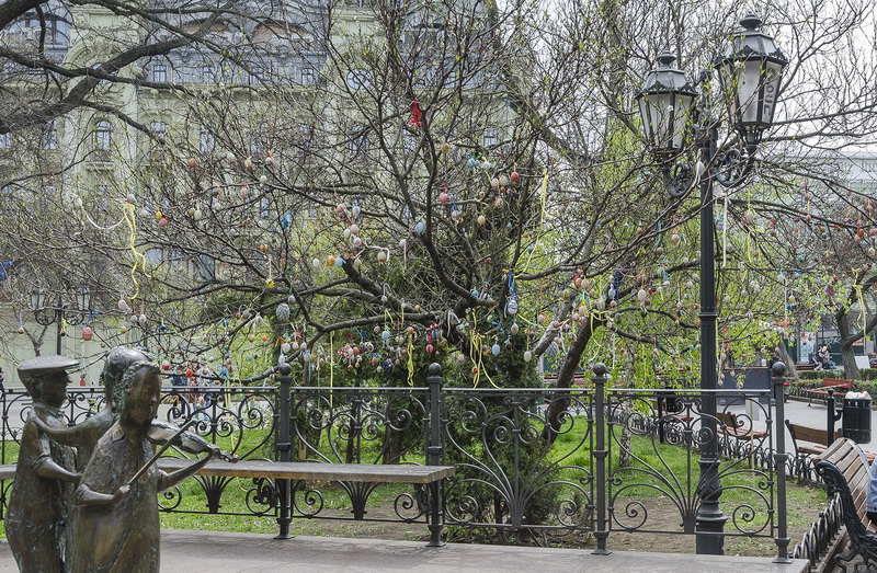 В центре Одессы украсили дерево для спасения пятимесячного мальчика (фото)