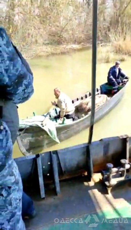 Одесская область: на Дунае пьяные рыбаки прятались в камышах (фото, видео)