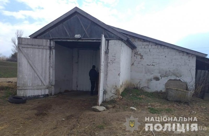 Друг не бросил друга: в Одесской области подростки украли теленка (фото)
