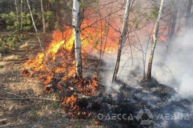 Спасатели ГСЧСУ: в Одесской области – пожароопасный период