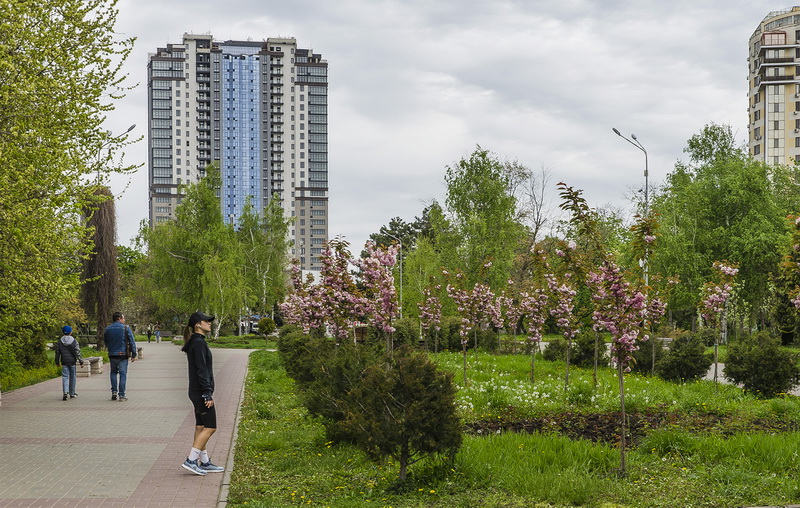 В Одессе в парке Победы зацвела сакура (фото)