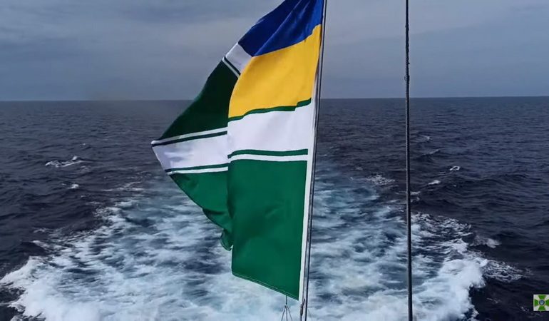 Возле Одессы украинские корабли с американцем «Hamilton» боролись с «диверсантами» (видео)