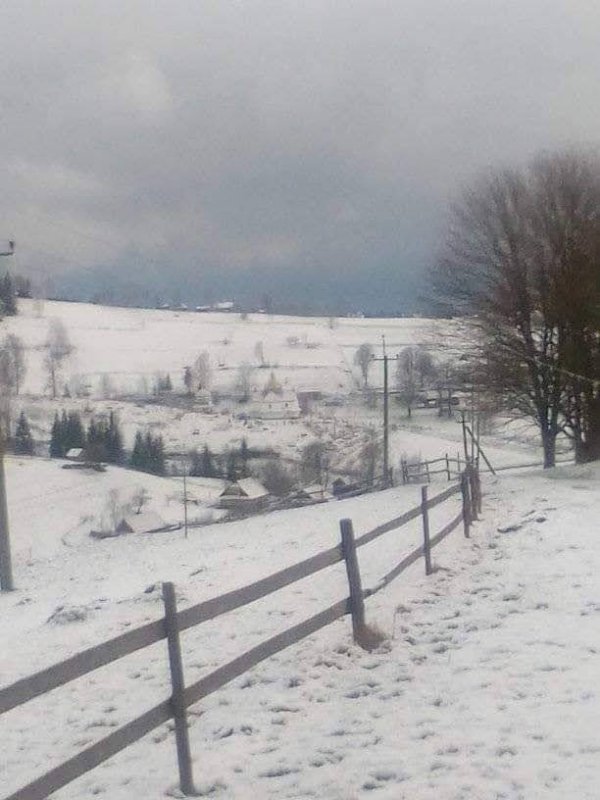 В Карпатах выпало 20 см снега (фото)