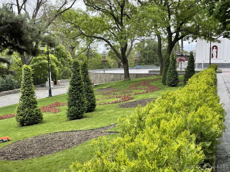 700 000 летних цветов: одесский «Горзелентрест» украшает город (фоторепортаж)