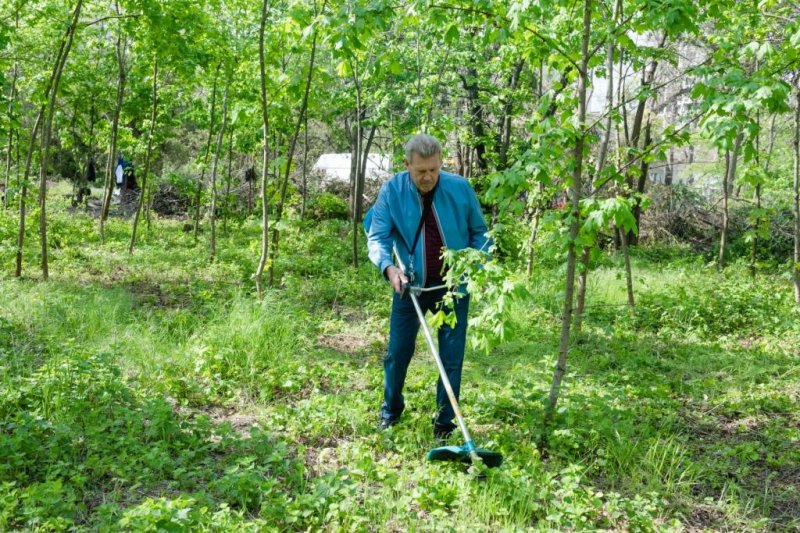 Одессе – новый парк: Сергей Кивалов инициировал благоустройство Межрейсовой базы моряков