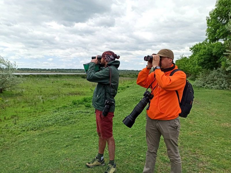 В украинской дельте Дуная подсчитали пеликанов (фоторепортаж)