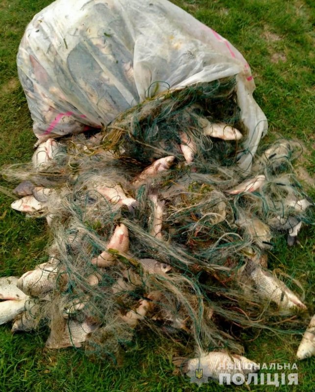 В Одесской области братья-браконьеры незаконно выловили 100 кг карасей (фото)