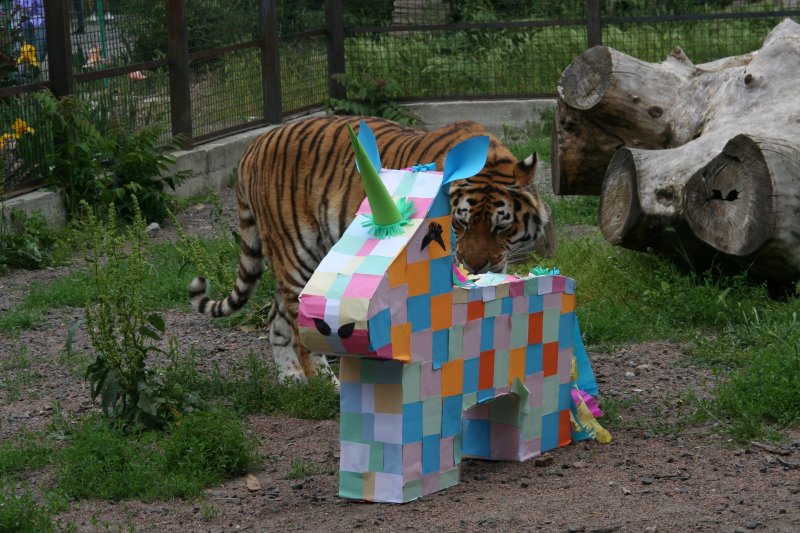 На выходных в Одесском зверинце прошел праздник «Караоке в зоопарке» (фоторепортаж)