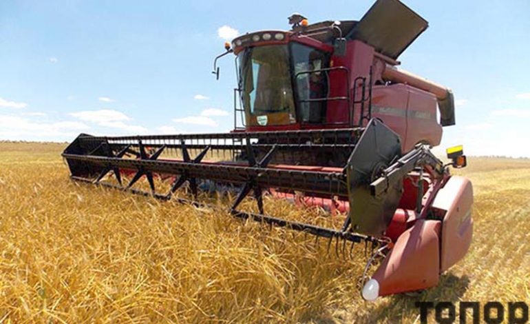 В Одесской области аграрии с опозданием начнут уборку урожая