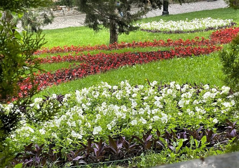 700 тысяч цветов высаживают в Одессе (фото)