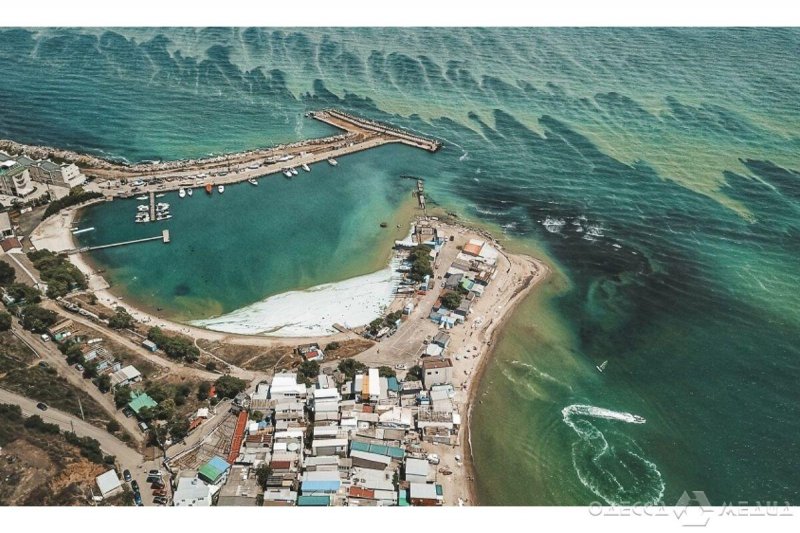 После обильных осадков в Одессе «зацвело» море – купаться запрещено