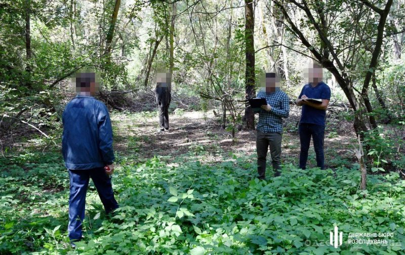 Прокуратура Одесской области: лесничий «не заметил» незаконную вырубку леса (фото)