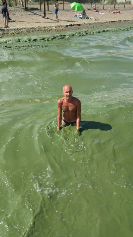 В Одессе “позеленело” море, но купаться можно
