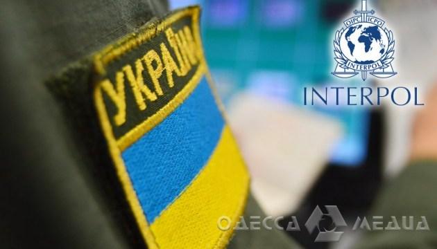 Разыскиваемый Интерполом внедорожник обнаружен в Одесской области (фото)