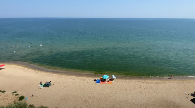 В Одесской области морские водоросли портят отдых туристам