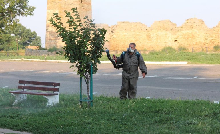 В Белгороде-Днестровском спасают деревья от белой бабочки (ФОТО)