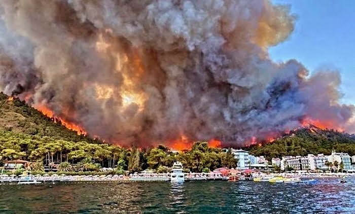 Курортный сезон в Турции срывается: пожары добрались до отелей (фото, видео)