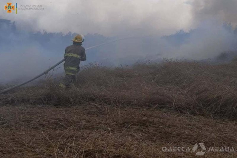 Молния едва не сожгла 170 га хлебного поля в Одесской области (фото)