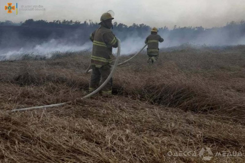 Молния едва не сожгла 170 га хлебного поля в Одесской области (фото)