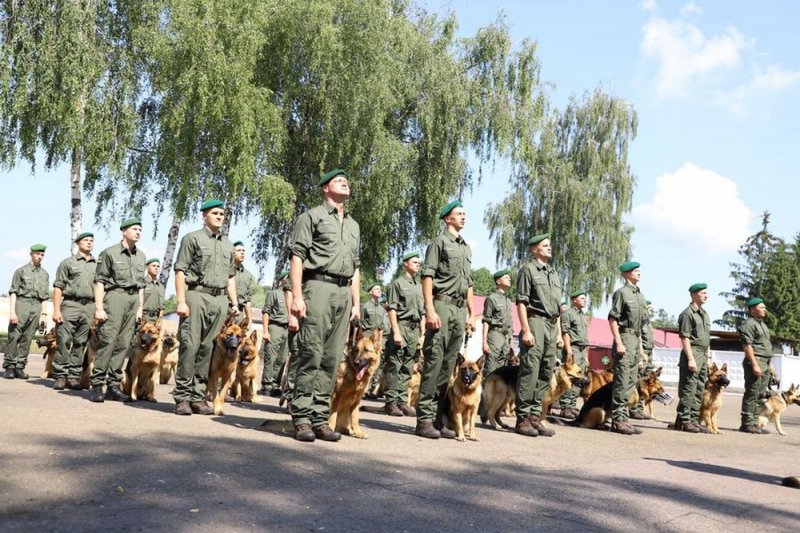 Служебные собаки Измаильского погранотряда пройдут на параде по Крещатику (фото)