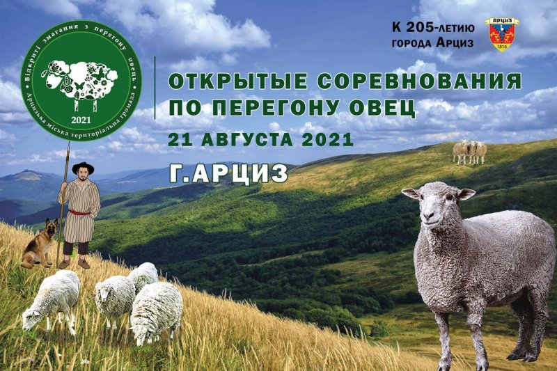 В Арцизе предлагают гонять овец по случаю юбилея города
