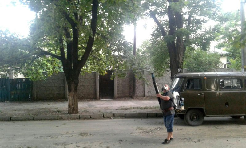 В Белгороде-Днестровском спасают деревья от белой бабочки (ФОТО)