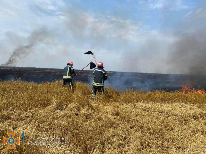 В Подольском и Раздельнянском районах горели пшеничные поля (фото)