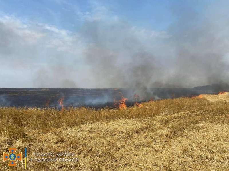 В Подольском и Раздельнянском районах горели пшеничные поля (фото)