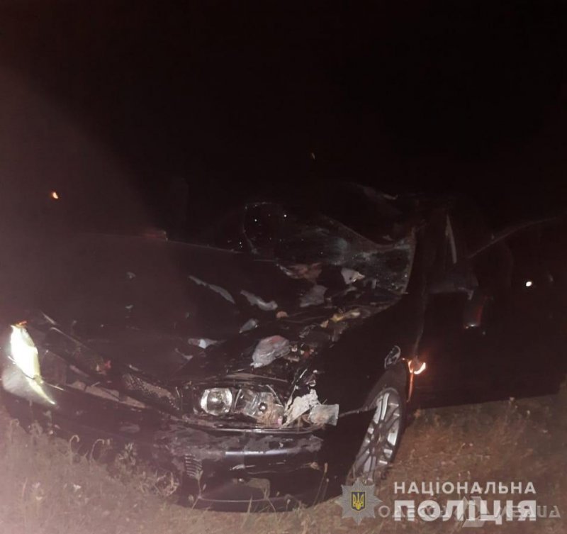 В Одесской области ночью водитель Mitsubishi сбил велосипедистов, два человека погибли (фото)