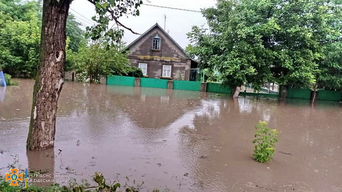 В Одесской области дождевая вода затопила села