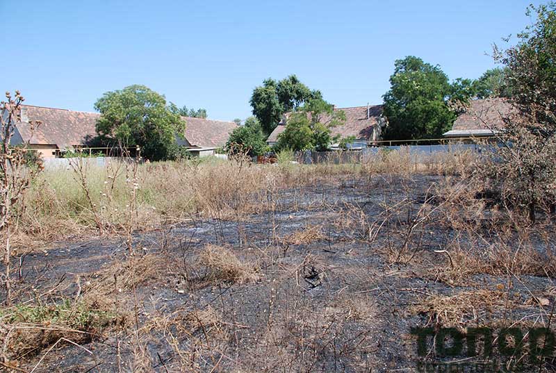 В Болграде удалось предотвратить возгорание жилых домов