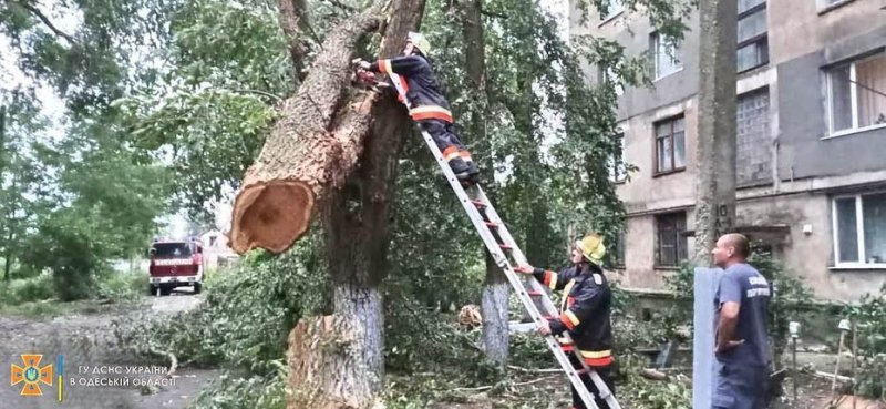 В Одесской области ликвидируют последствия непогоды (фото)