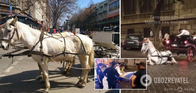 В центре Одессы упала лошадь: на хозяина составили админпротокол (фото)