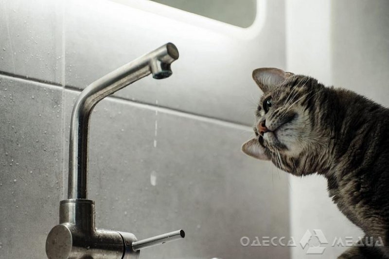 25 августа будет прекращена подача воды некоторым потребителям Суворовского района (адреса)
