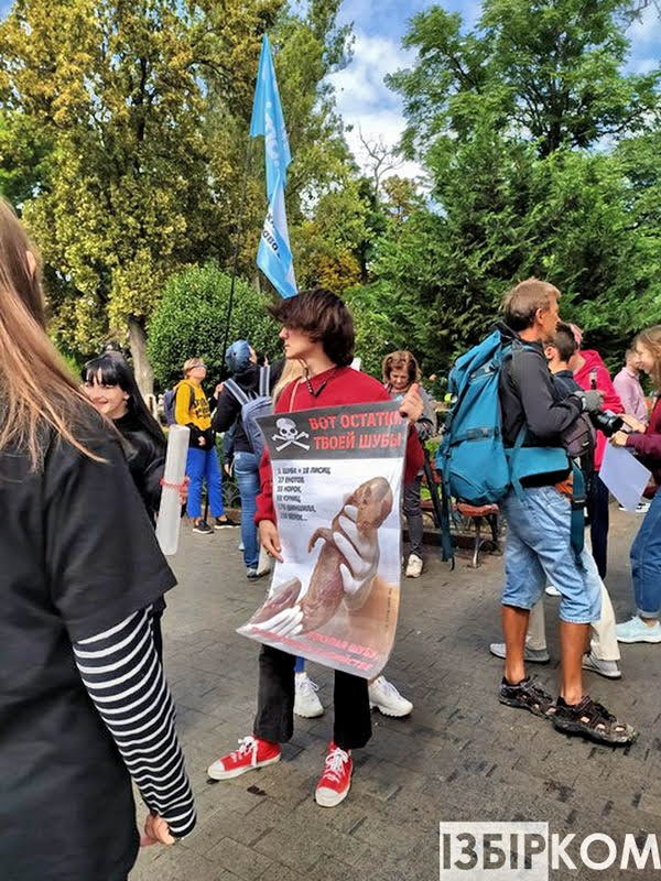 В Одессе потребовали запретить дельфинарии и цирки с животными