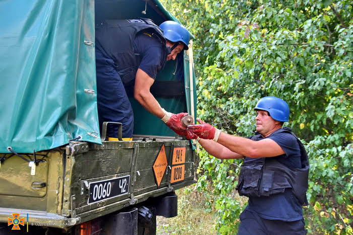 В лесу в Одесской области нашли 300 артснарядов и гранат
