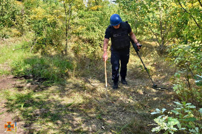 В лесу в Одесской области нашли 300 артснарядов и гранат