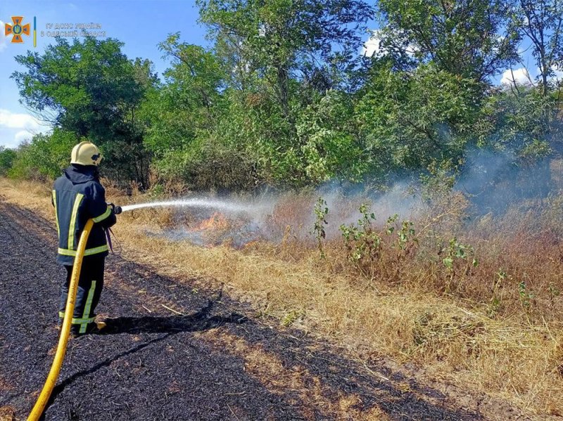 В Одессе объявлен чрезвычайный уровень пожарной опасности