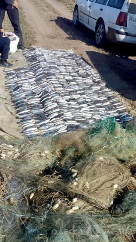 В Одесской области задержали браконьеров, которые наловили рыбы на 1,7 млн грн