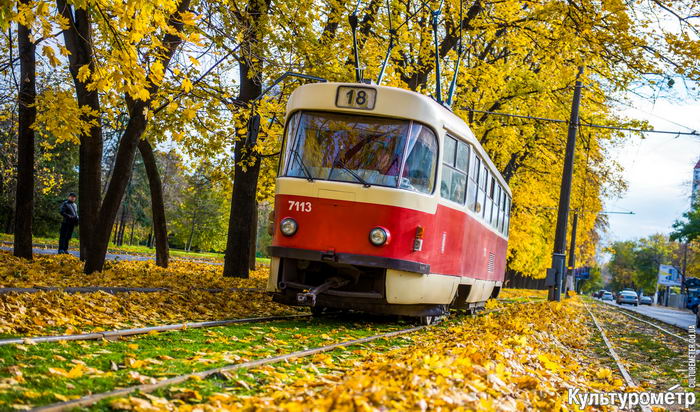 С 1 ноября стоимость проезда в одесских трамваях и троллейбусах вырастет до 8 гривен