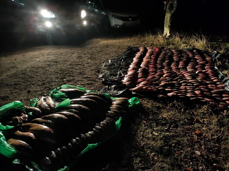 В Болградском районе задержали браконьера с уловом на миллион (фото)