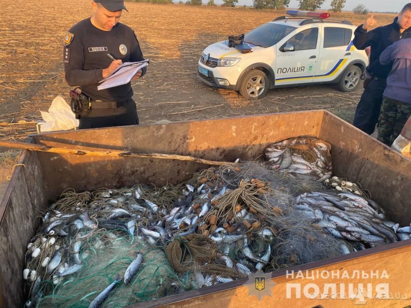 На Тузловских лиманах браконьеры выловили рыбы на 1,75 млн гривен (фото)