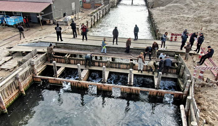 В Тузловских лиманах экологи сломали браконьерские орудия рыбного завода под охраной полиции
